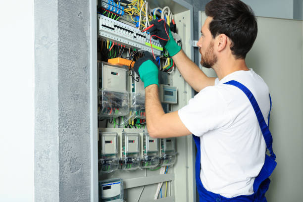 Best Electric Panel Repair  in Cleona, PA